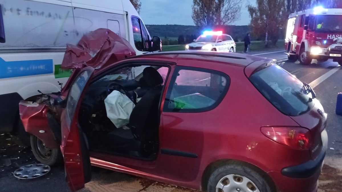 Při úmyslné bouračce na Plzeňsku zabila osmiletou dceru. Policisté ženu obvinili z vraždy